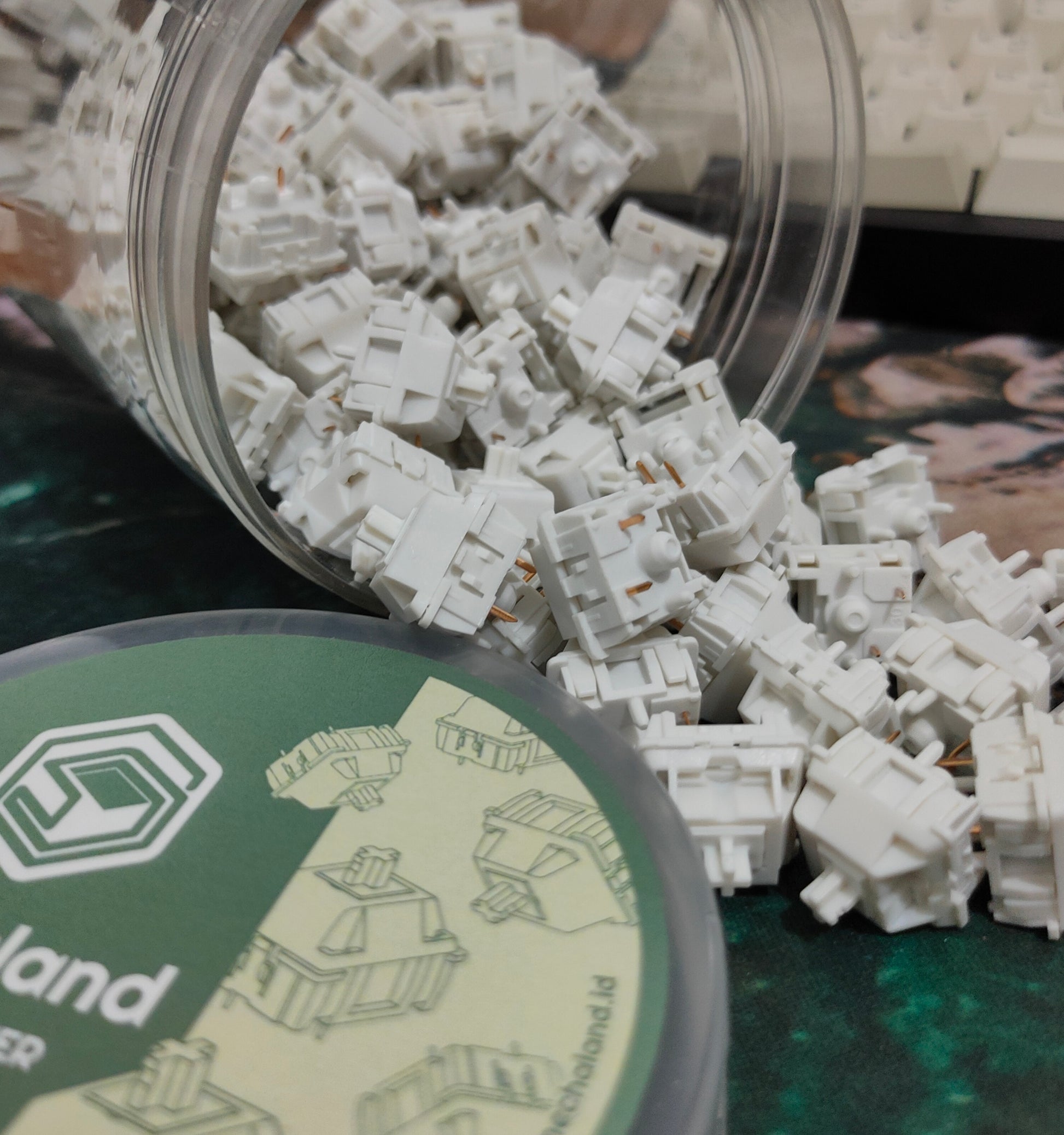 Neo White Switches