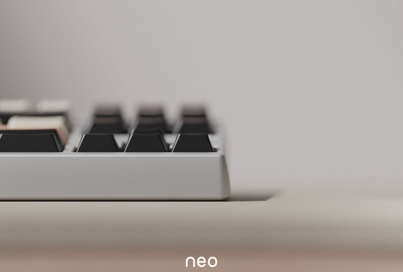 [Extra] Neo80