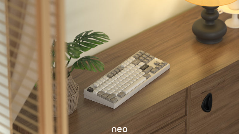 [Extra] Neo80