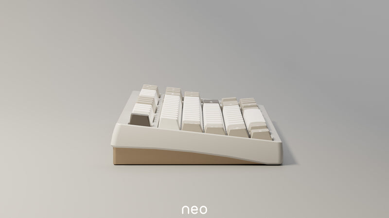 [Extra] Neo80